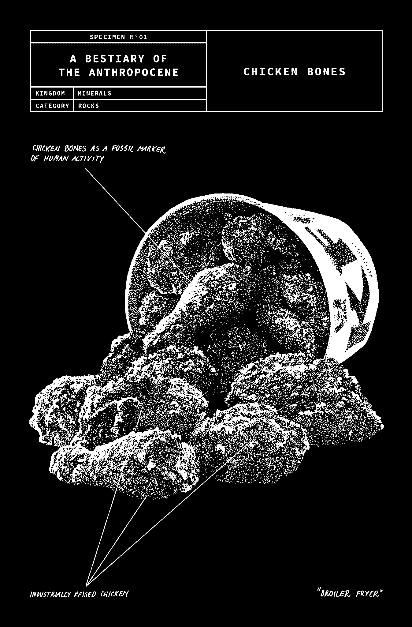 Specimen image from the audio guide